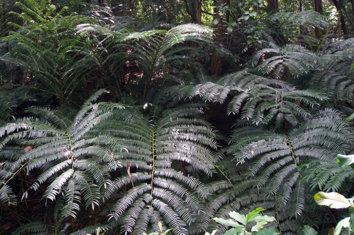 Image 38