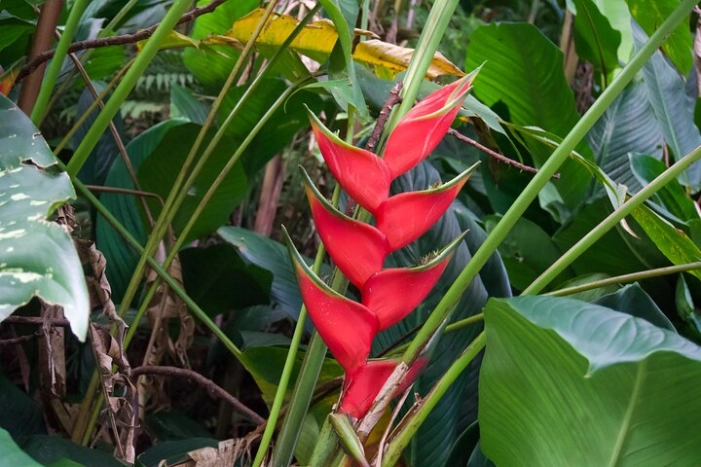 Image 37
