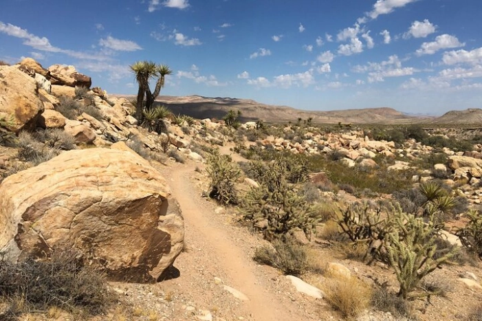 Image 6