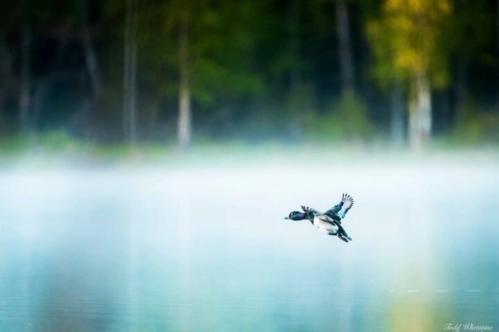 Fairbanks Private Photography Workshop 