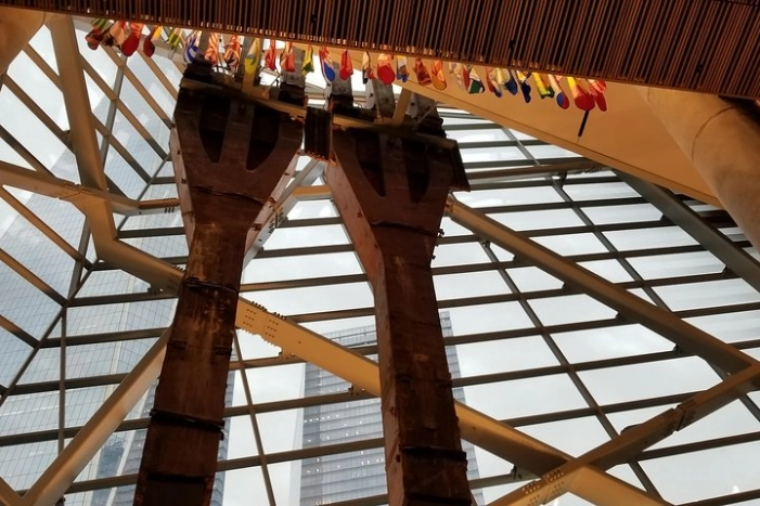 Image 15