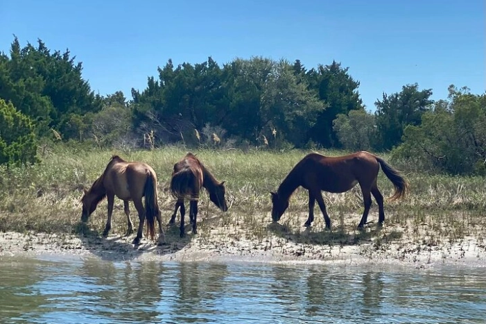 8 Hours Private Crystal Coast Sightseeing in North Carolina