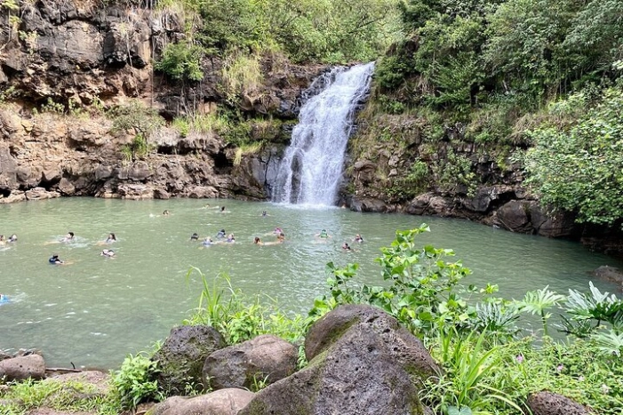 Image 10
