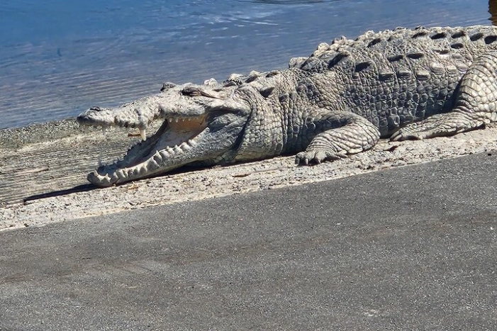 Everglades National Park: 3 Hikes + 90 minute Boat Tour + Lunch