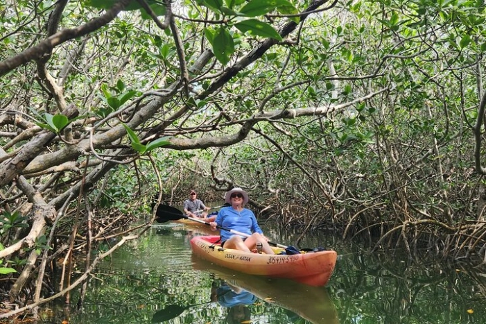 Image 11