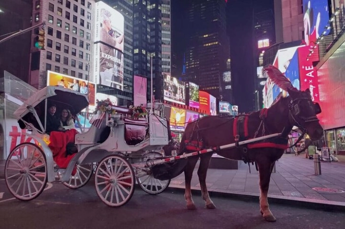 NYC Christmas Light and Rockefeller Center Tour