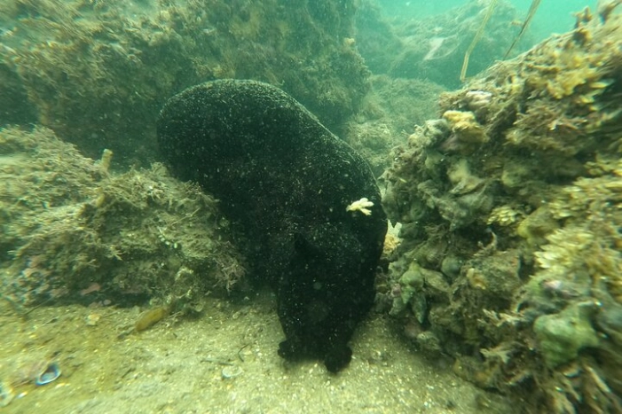 Image 10