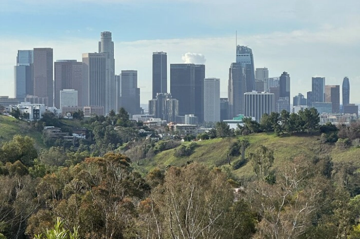 Image 15