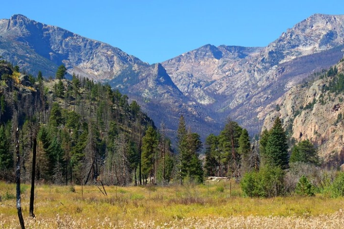 Image 6