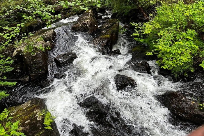 Image 10