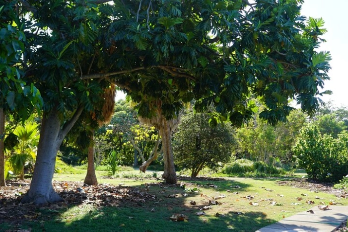 Image 4