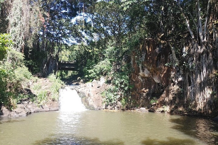 Image 15