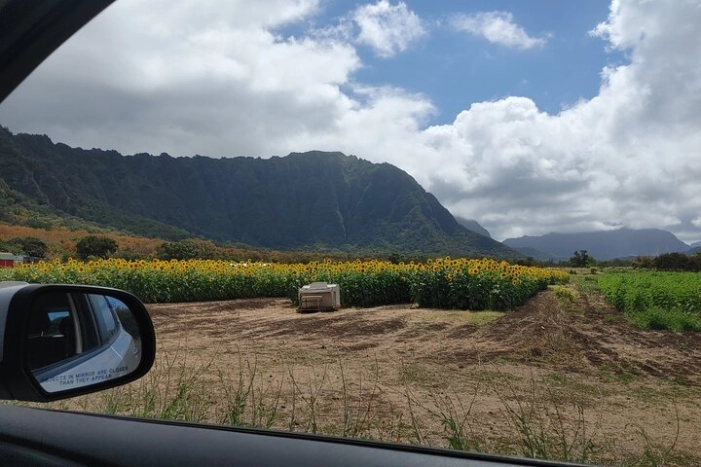 Image 21