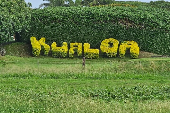 Image 28