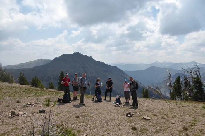 Image 4