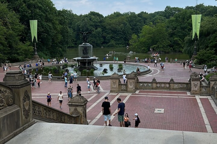 Image 7