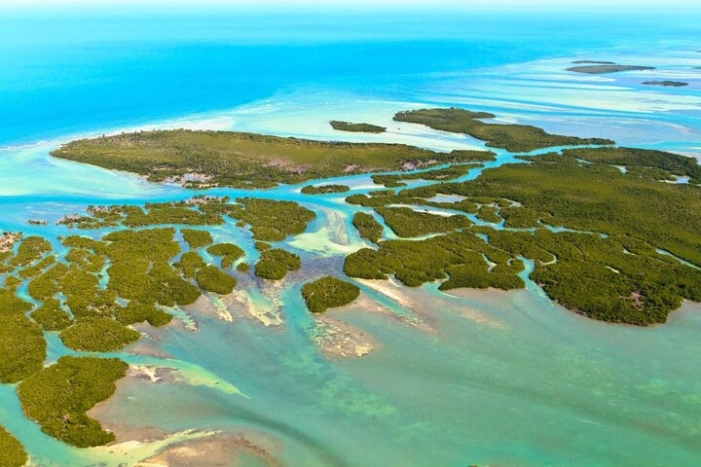 Private Key West National Wildlife Refuge Eco Trip