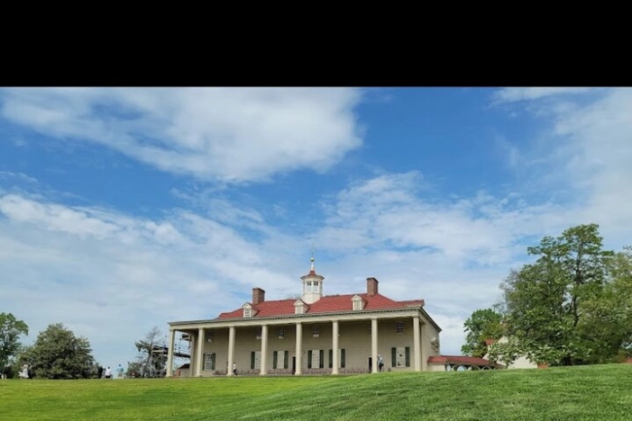 Image 13