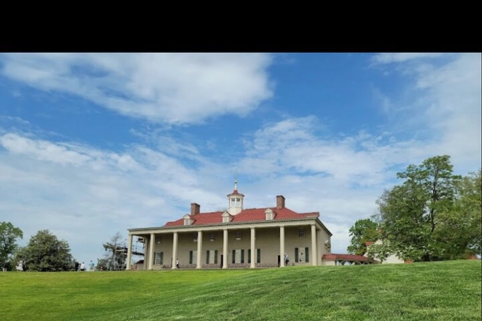 Image 15