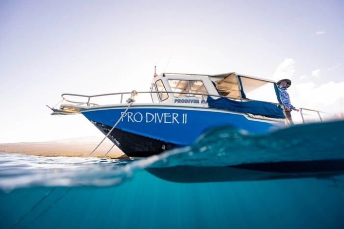 Diving at South Maui Coast Featuring the Molokini Crater