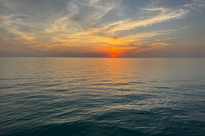 Image 36