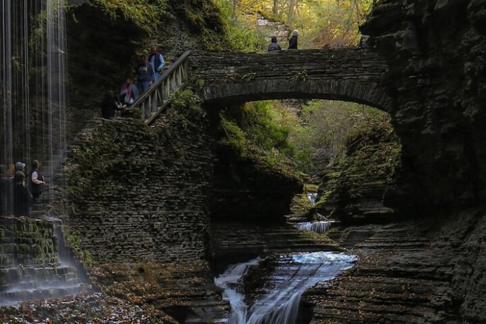 Image 6