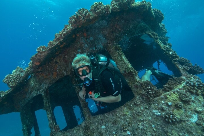 Image 2