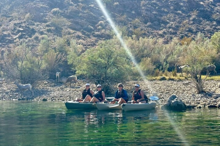 Image 12