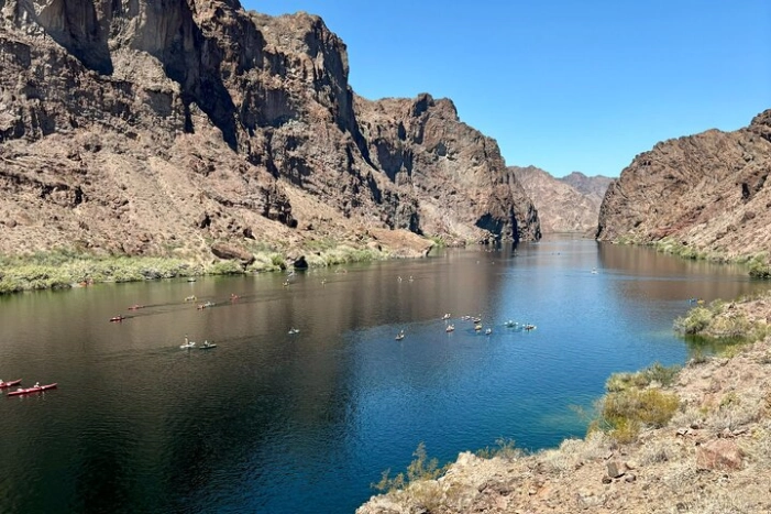 Image 12