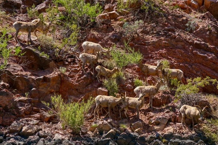 Image 10