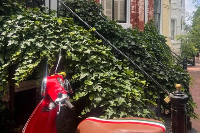 Image 7