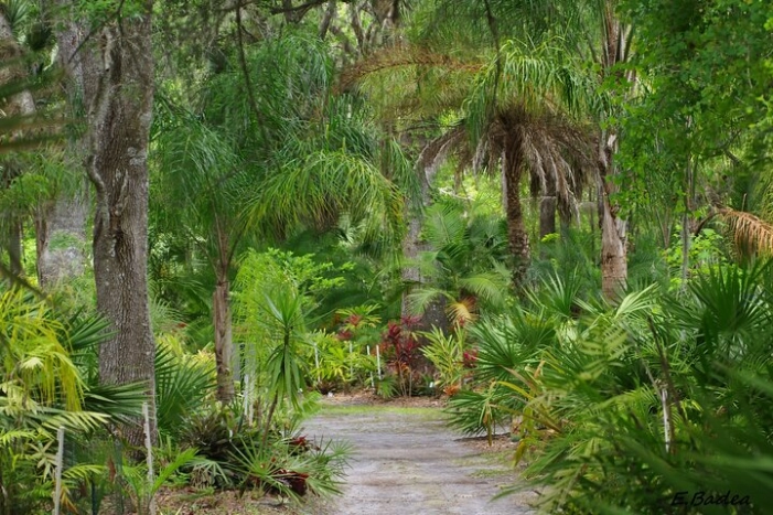 Private Walking Tour to St. John's Botanical Garden