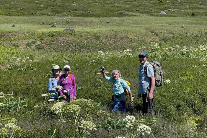 Scenic Coast and Wildlife Tour
