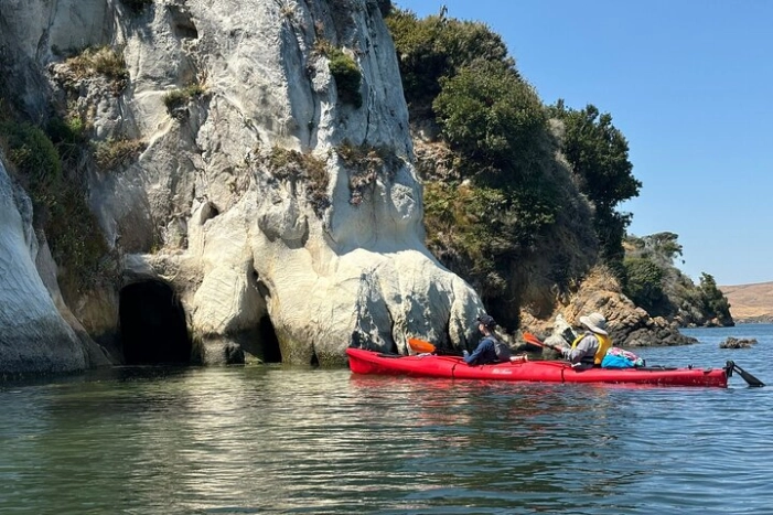 Image 7