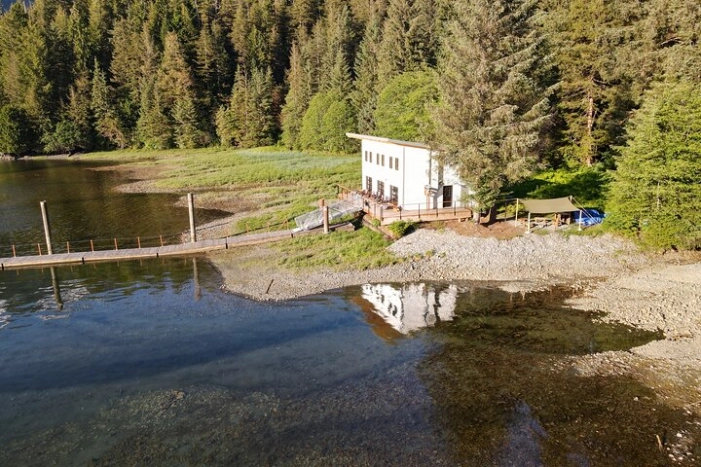 Image 4