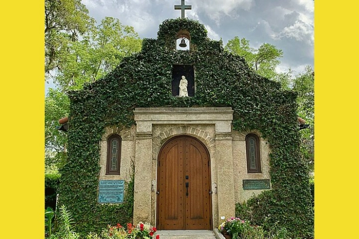 Image 8