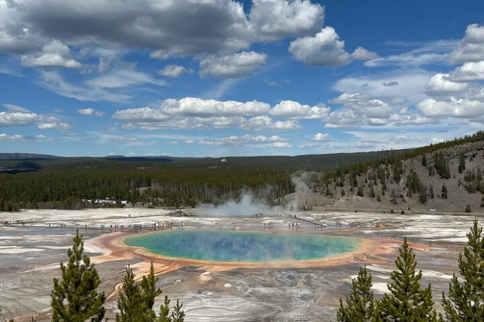 Image 6