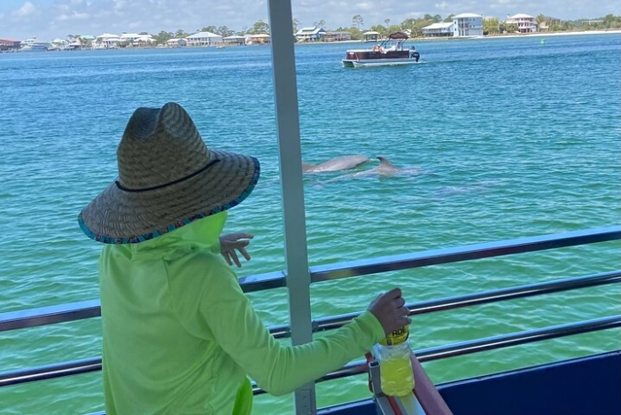 Dolphin Watching Tour in Orange Beach