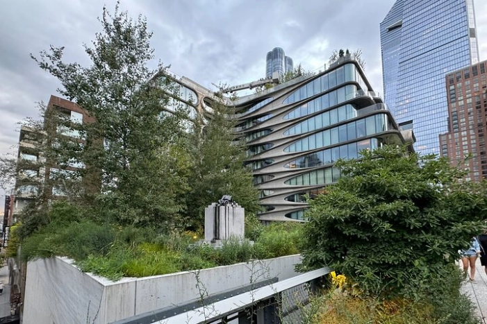 Image 8