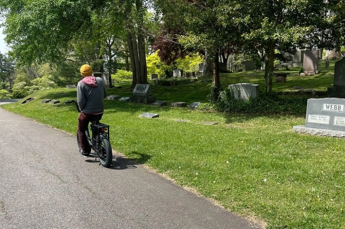 Image 5