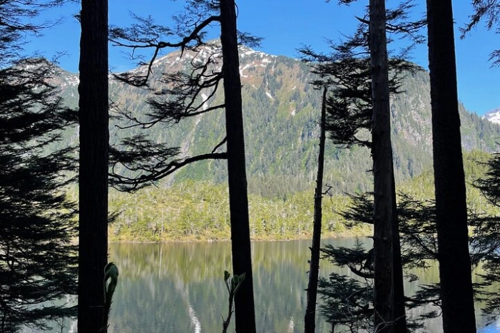Tongass National Forest Hike To Beaver Lake