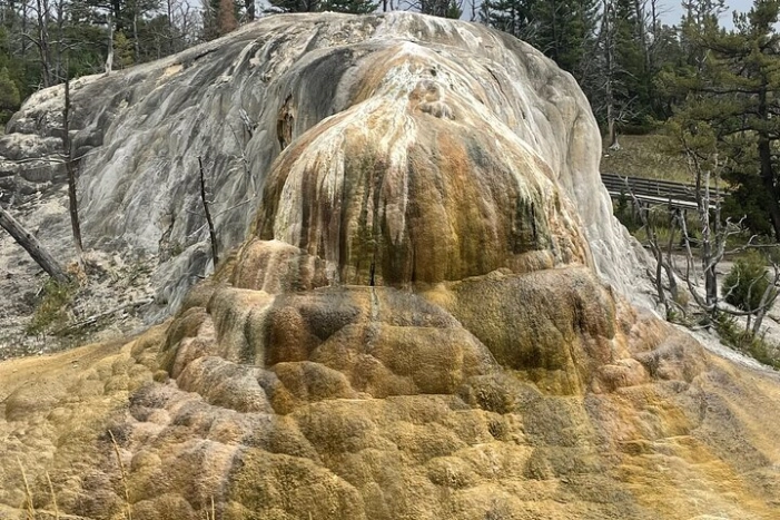 Image 14
