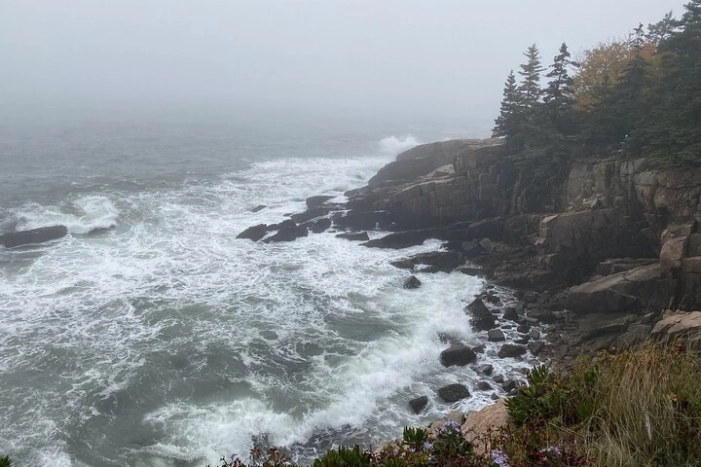 Image 14