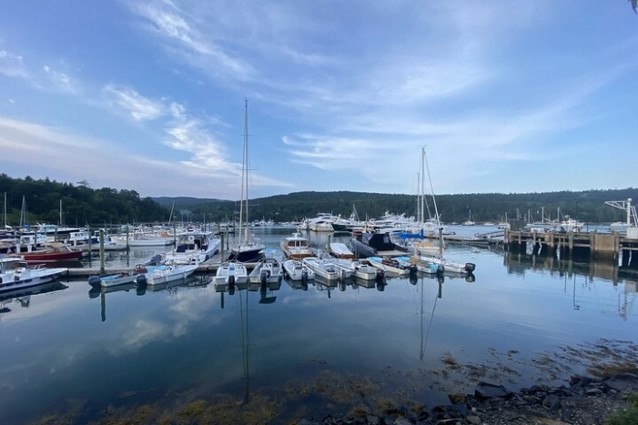 Image 11
