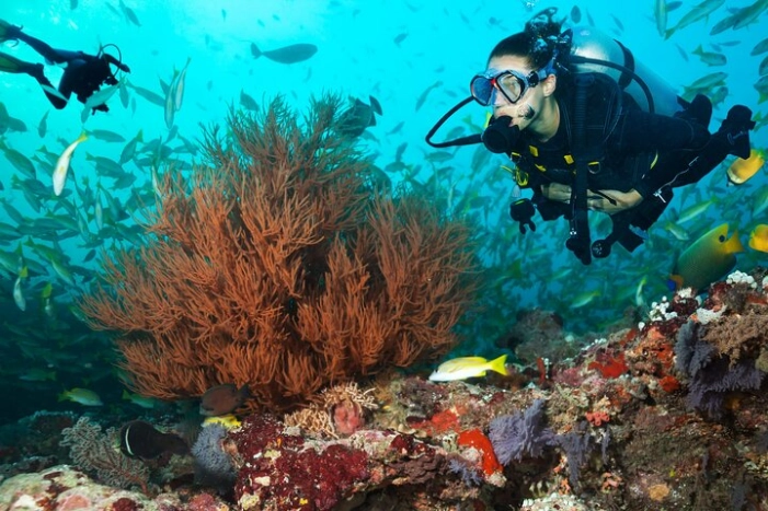 Try Scuba Diving in Kauai From a Boat for Non-Certified Divers