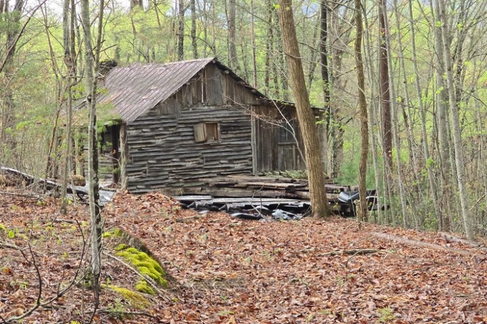 Dolly , Davy, & Dandridge History and Photo Tour