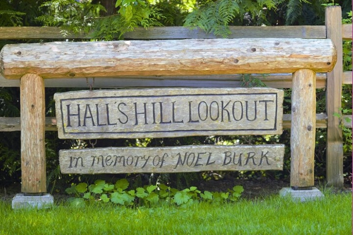 Image 13