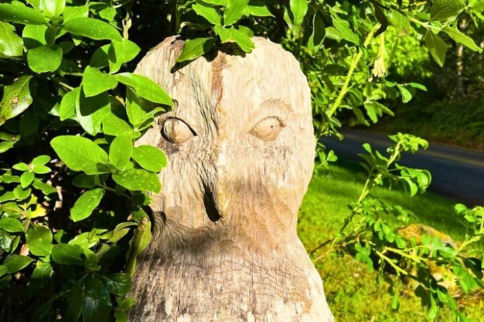 Image 14