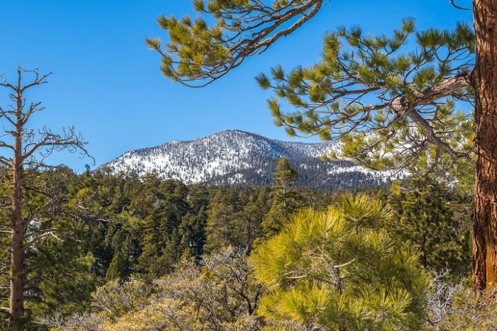 From San Diego: Two-Day Camping and Hiking Adventure in Idyllwild