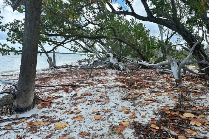 Image 7